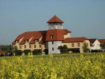 Hotel u věže