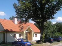 Javor