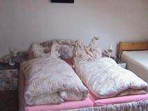 Pension Jitka