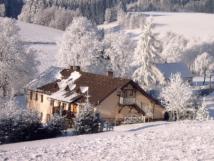 Penzion Pod kaštanem