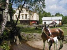 Penzion a ranč U potoka