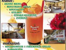 Hotel Veselan
