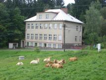 Ubytovna Strážná 65