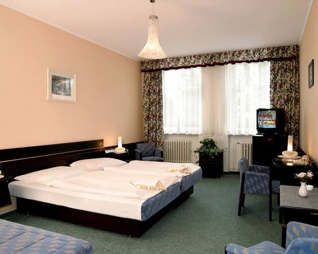 Hotel Labuť