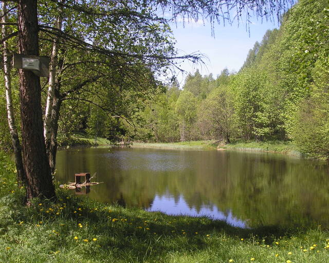 Penzion Kamenný Dvůr
