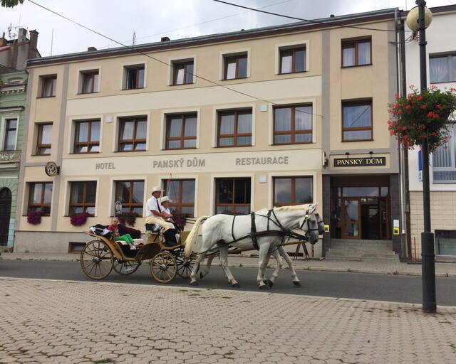 Hotel Panský dům