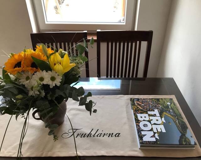 Apartmán Truhlárna