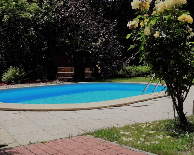 Apartment Ulrich