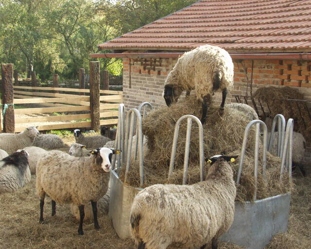 Farma Zahradnice