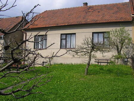 Restaurace Barachov