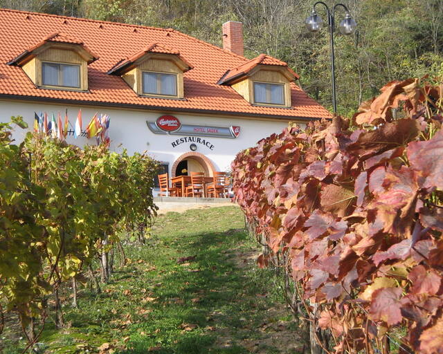 Vinařské a kulturní centrum Sádek