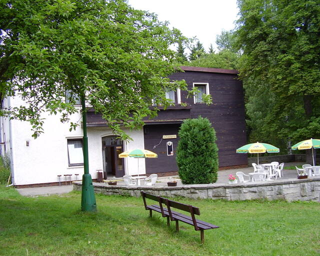 Lesní zátiší