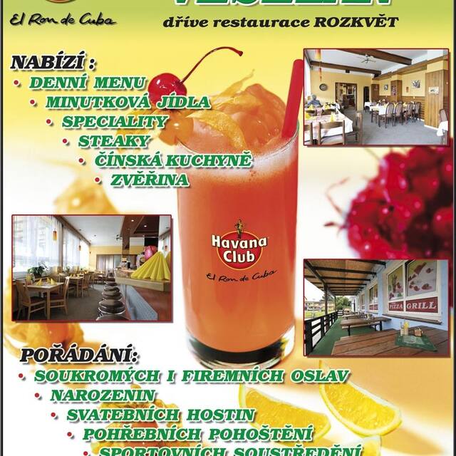 Hotel Veselan