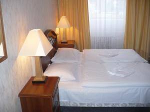 Hotel Bohemians