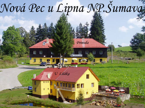 Petrklíč a Primula U šumavského Lišáka