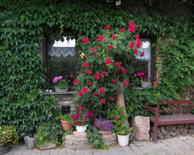 Apartmán Tetín