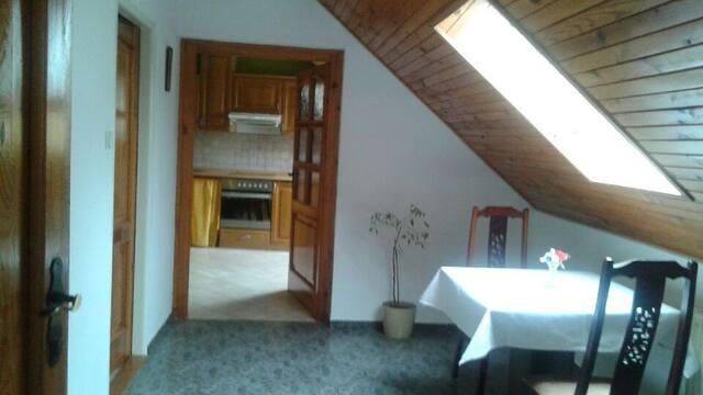 Penzion U lva