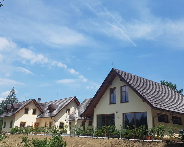 Na kraji lesa
